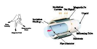 p1.jpg